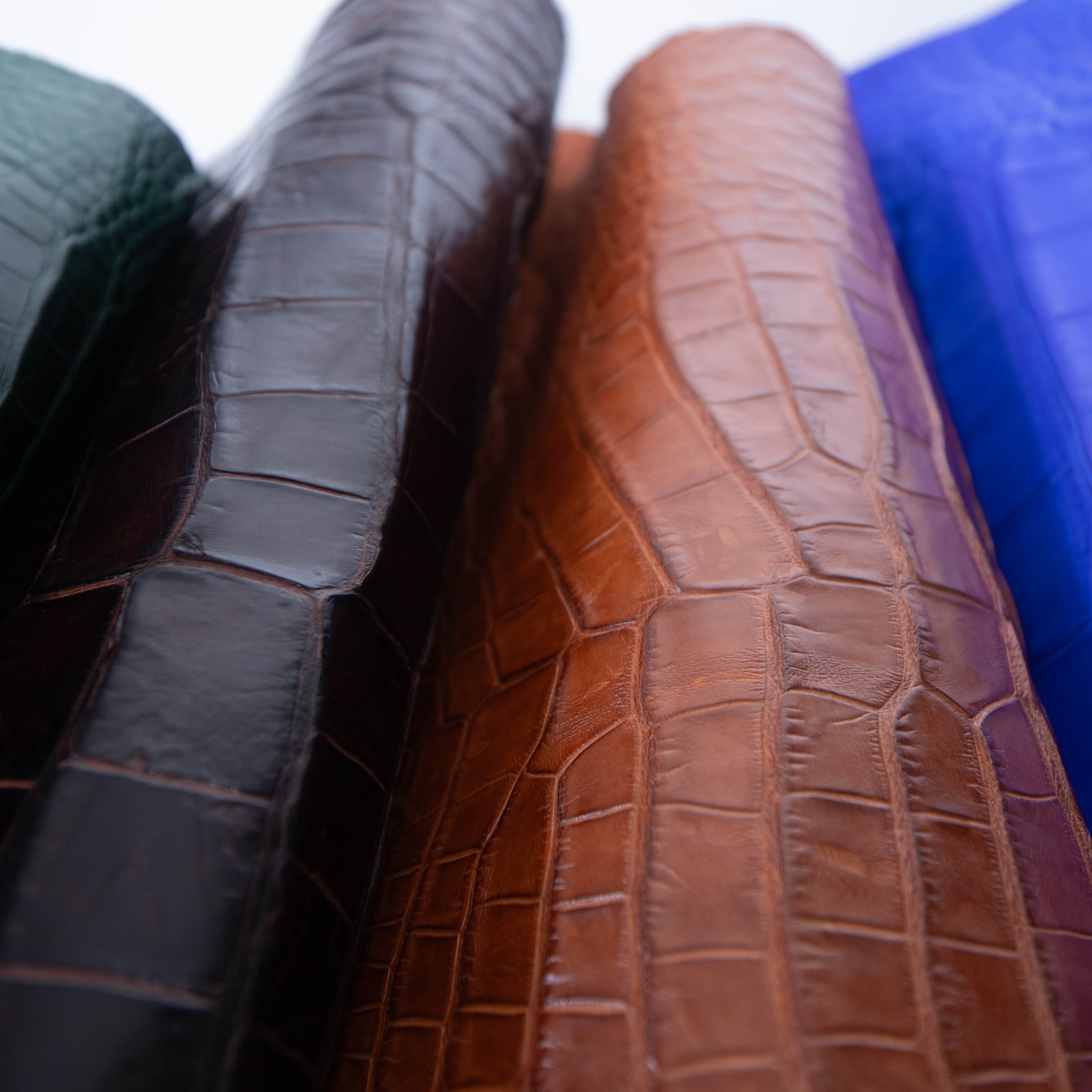 Alligator Skins
