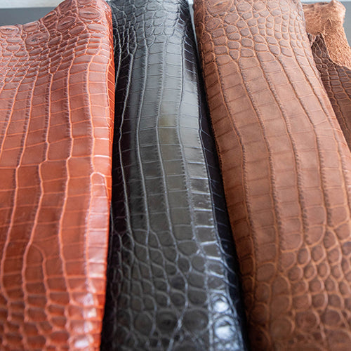 Crocodile Skins