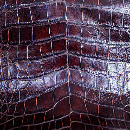 Wild Florida Alligator Skin – Sport Rust Classic SB Finish