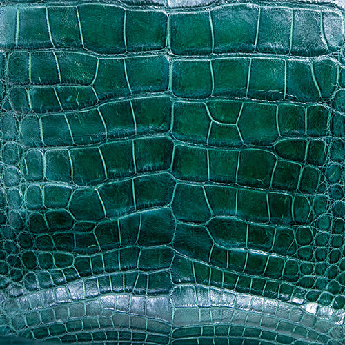 Wild Florida Alligator Skin – Forest Green Classic SB Finish