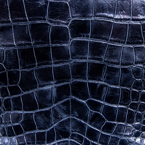 Wild Florida Alligator Skin – Black Classic SB Finish