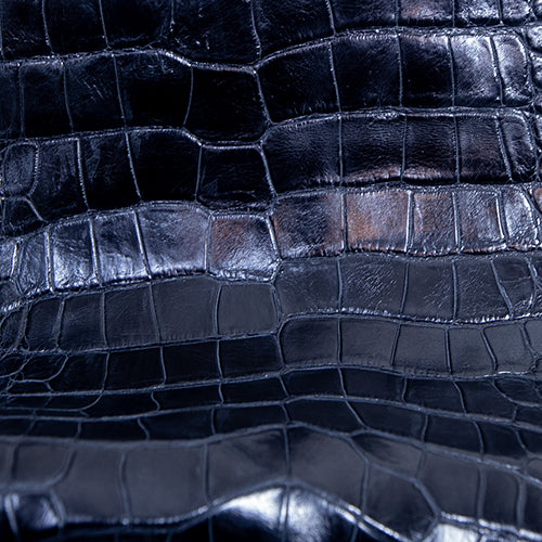 Wild Florida Alligator Skin – Black Classic SB Finish