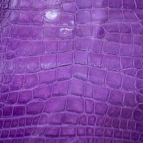 Wild Florida Alligator Skin – Purple Classic SB Finish