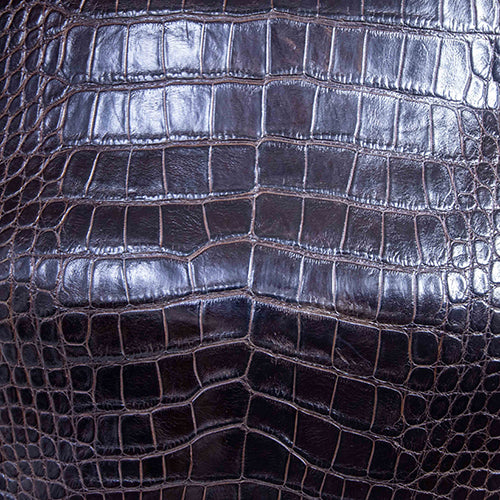 Wild Florida Alligator Skin – Brown Classic SB Finish