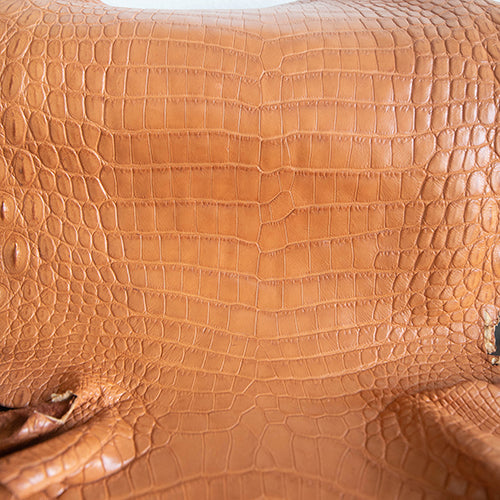 Nile Crocodile Skin – Brandy