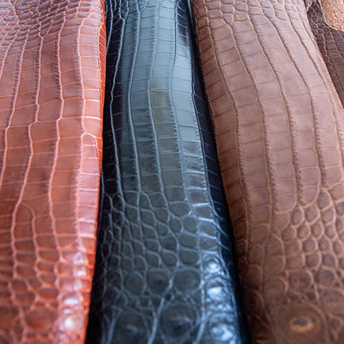 Nile Crocodile Skin – Brandy