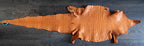 Nile Crocodile Skin – Brandy