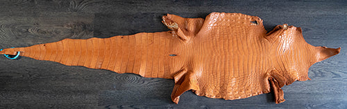 Nile Crocodile Skin – Brandy